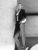 hanging_on_reduced